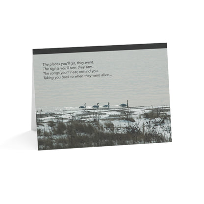 Where I Go, You Go Swans – Loss of Sibling, Grief, Sympathy Card