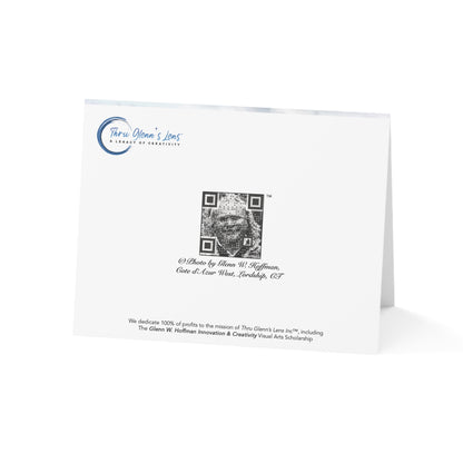 Just a Rainbow, Daylilies & The Sea - Rainbows Collection