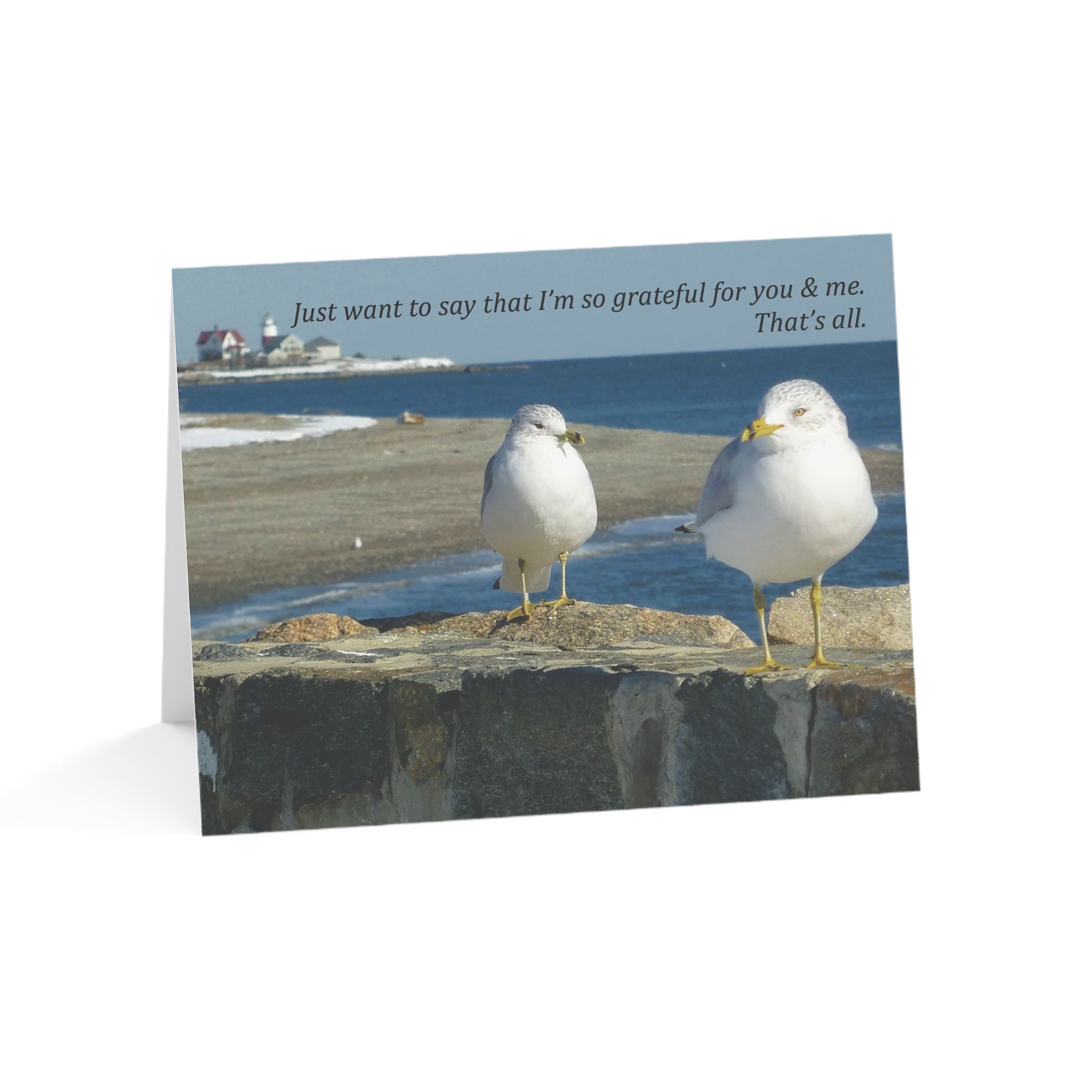 Celebrating Friends – Thank You Card, Personal Gratitude