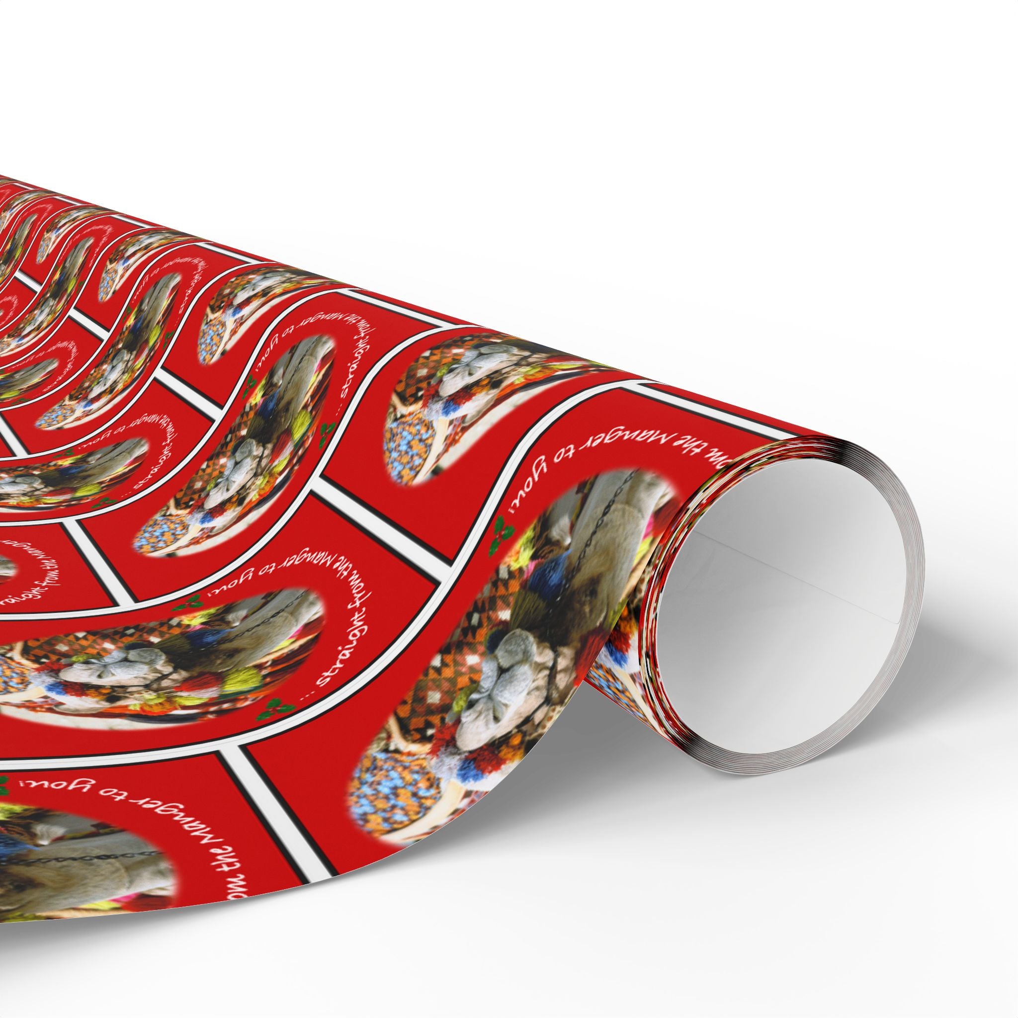 Direct from Mr. Camel – Holiday Wrapping Paper