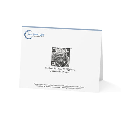 Happy Harness Horse on the Beach – Reflecting On Normandy Collection