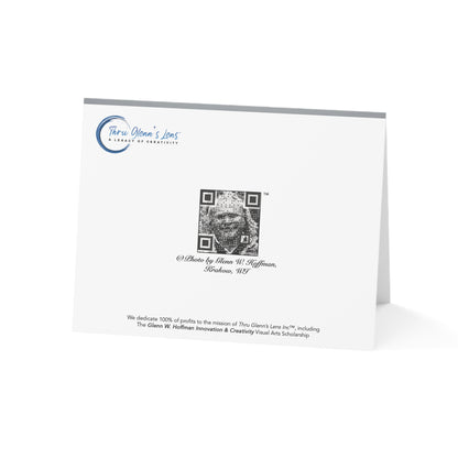 Peaceful Evening Stillness – Sunsets Collection