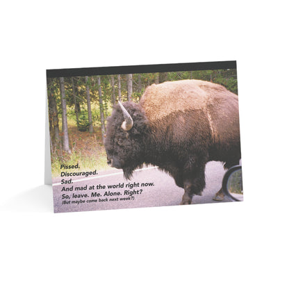 One Pissed Off Bison - Empathy, Support Card, Angry, Pissed at the World