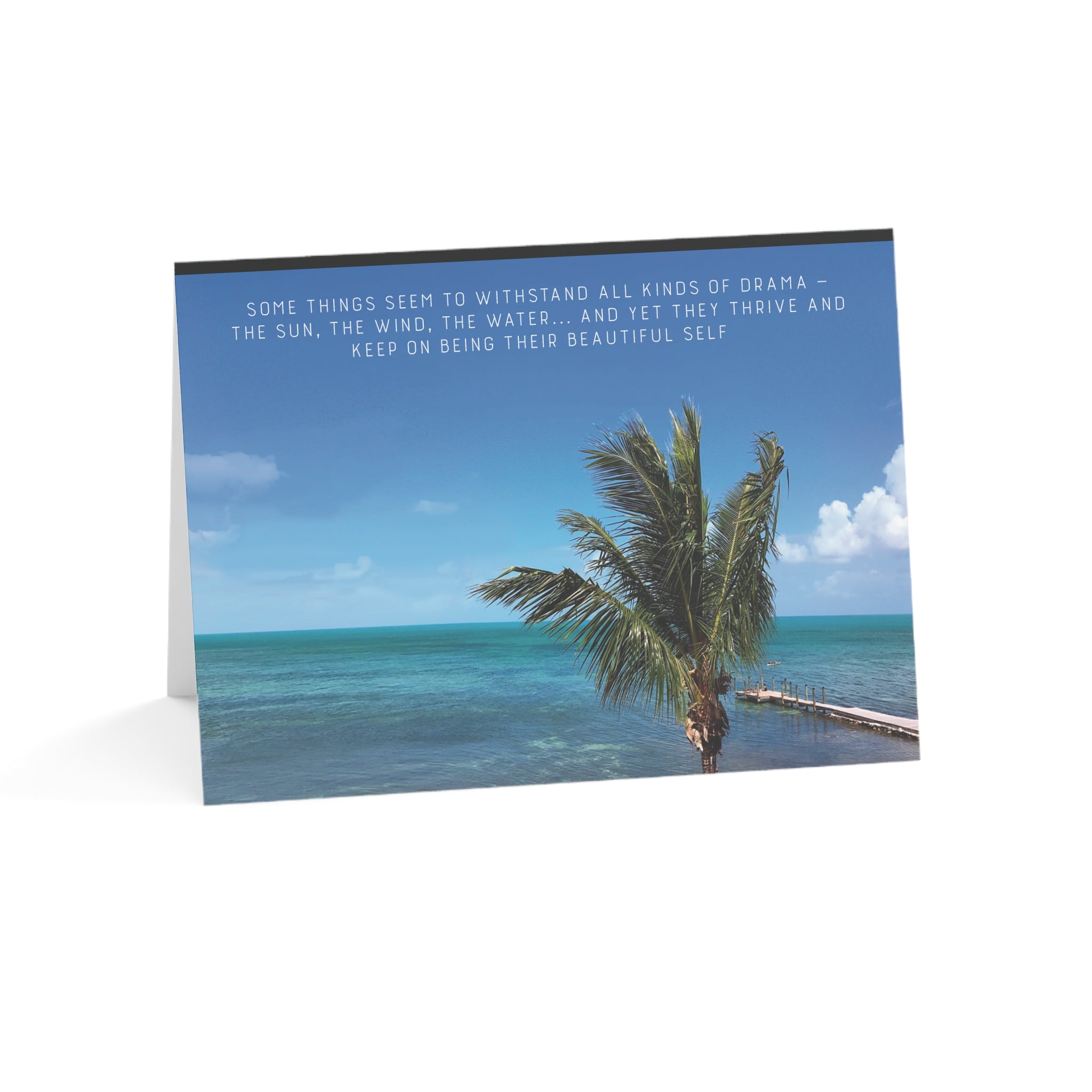 You're Something Special – Empathy, Friendship, Thinking of You Card