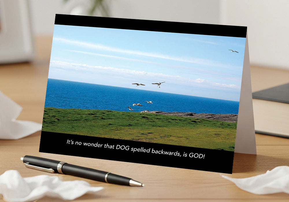 Soaring Gulls to Chase – Grief, Sympathy Card, Loss of Pet