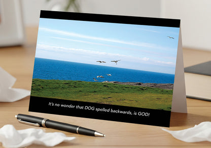 Soaring Gulls to Chase – Grief, Sympathy Card, Loss of Pet