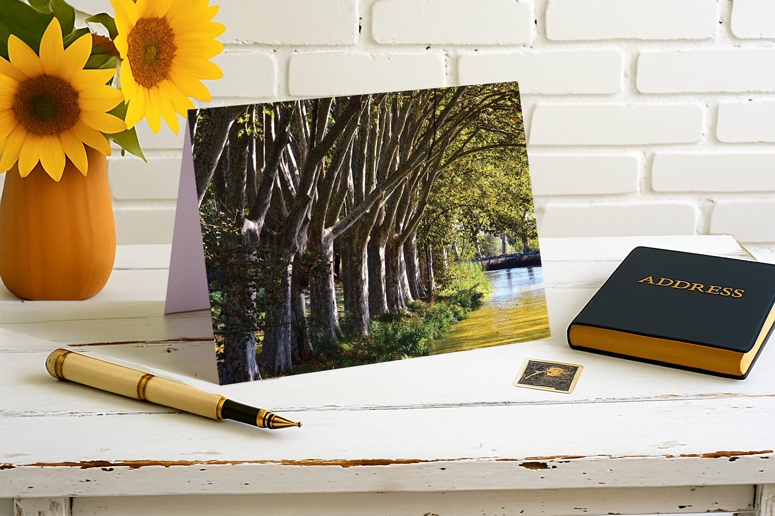 Stately Canal-Side Trees in France – Canals of Europe Collection