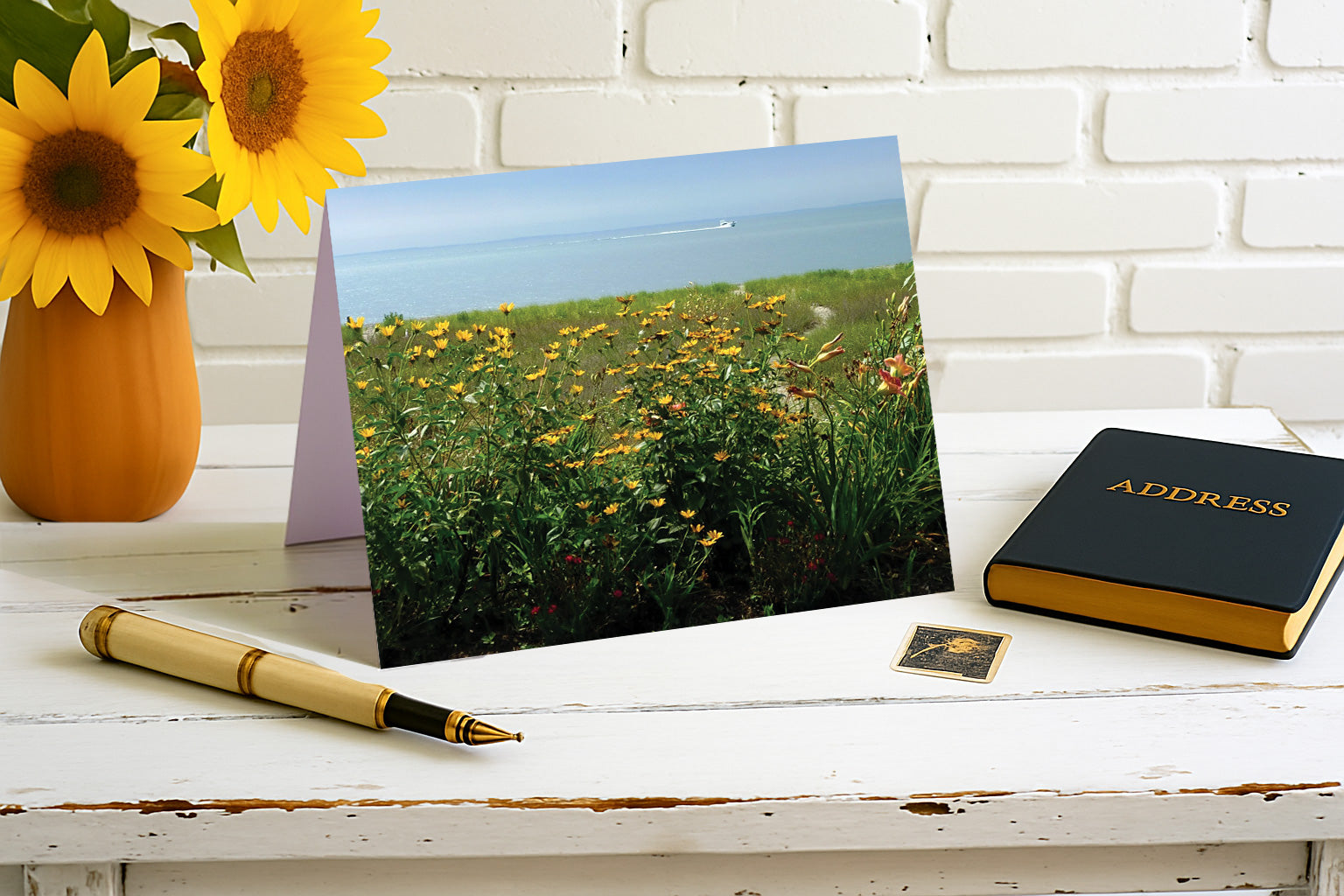 Wildflowers Everywhere - Coastal Bluff Beauty Collection