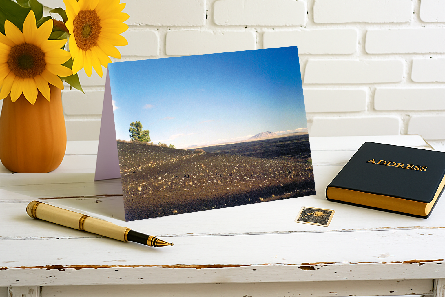 Moonlike Vista in the Desert – Southwest Solitude Collection