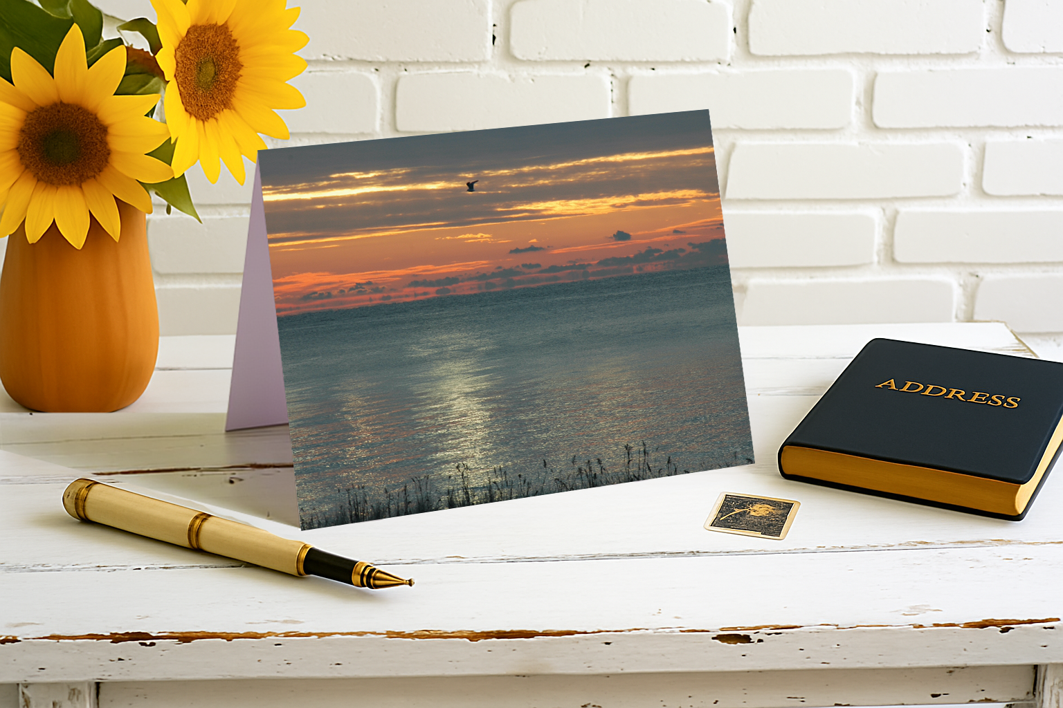 A Red Sky & A Lonely Gull – Sunsets Collection