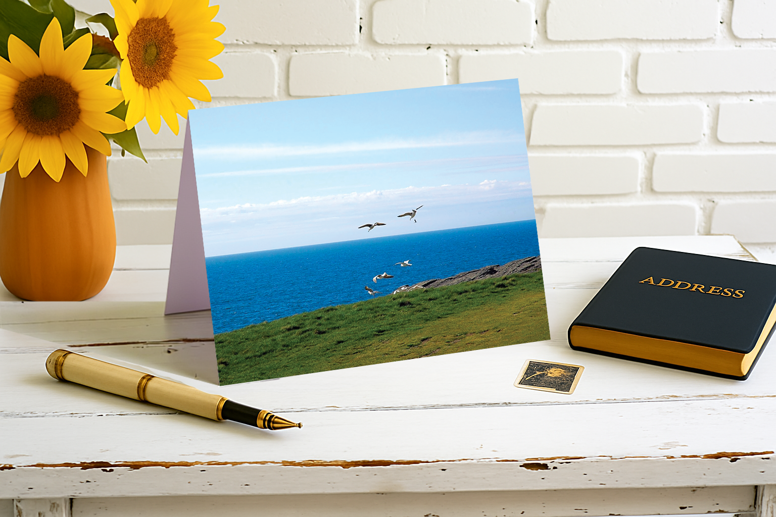 Happy Celtic Gulls – The Joy of Ireland Collection