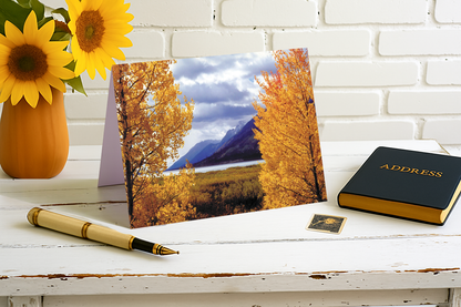 Framed by Beautiful Aspens – Jackson Hole Magic Collection