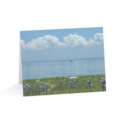 Soft Irises - Coastal Bluff Beauty Collection