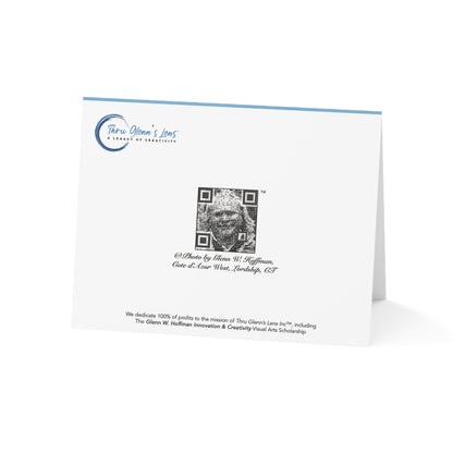 Soft Irises - Coastal Bluff Beauty Collection