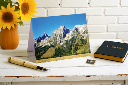 Do You See The St. Bernard? – Jackson Hole Collection